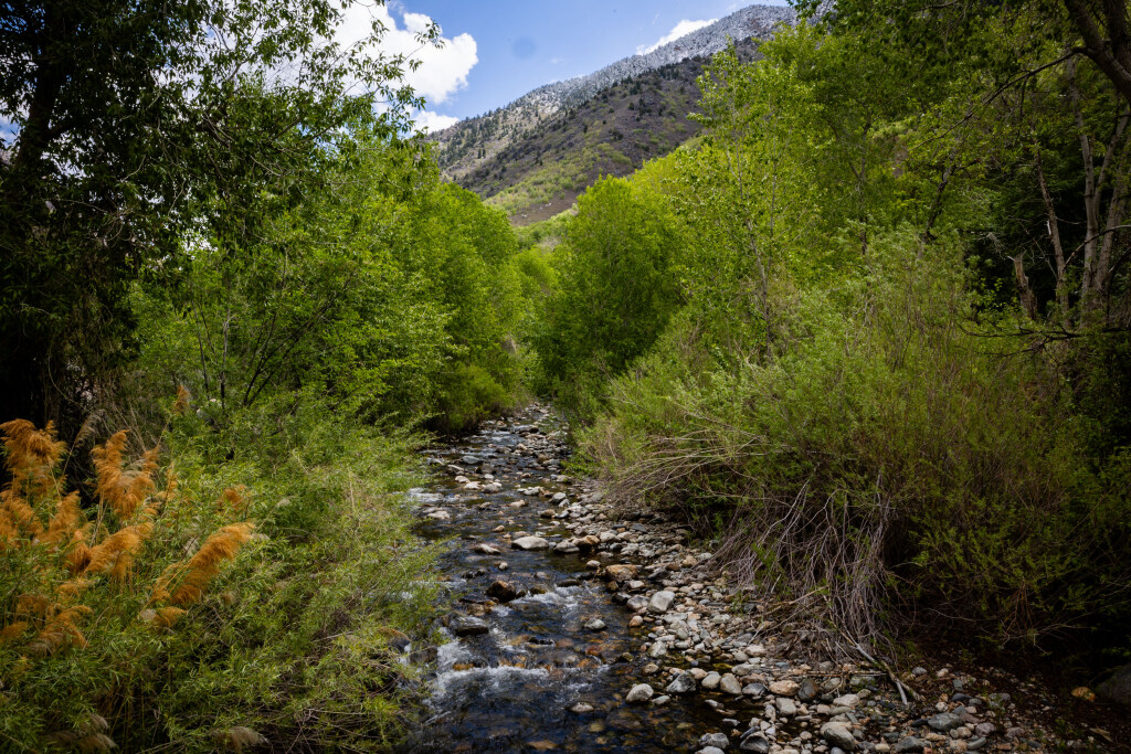 Nurse, fellow hikers help save man's life after cardiac arrest on Big Cottonwood Canyon trail