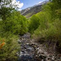 Nurse, fellow hikers help save man's life after cardiac arrest on Big Cottonwood Canyon trail