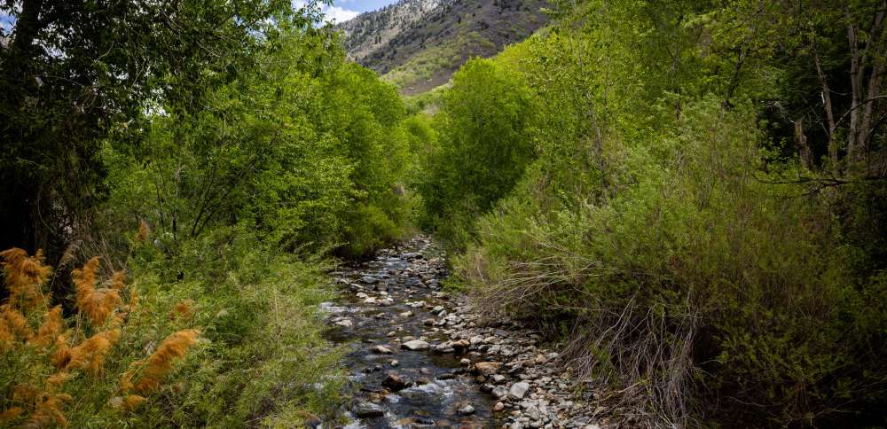 Nurse, fellow hikers help save man's life after cardiac arrest on Big Cottonwood Canyon trail