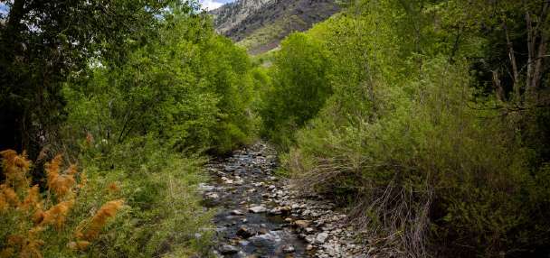 Nurse, fellow hikers help save man's life after cardiac arrest on Big Cottonwood Canyon trail