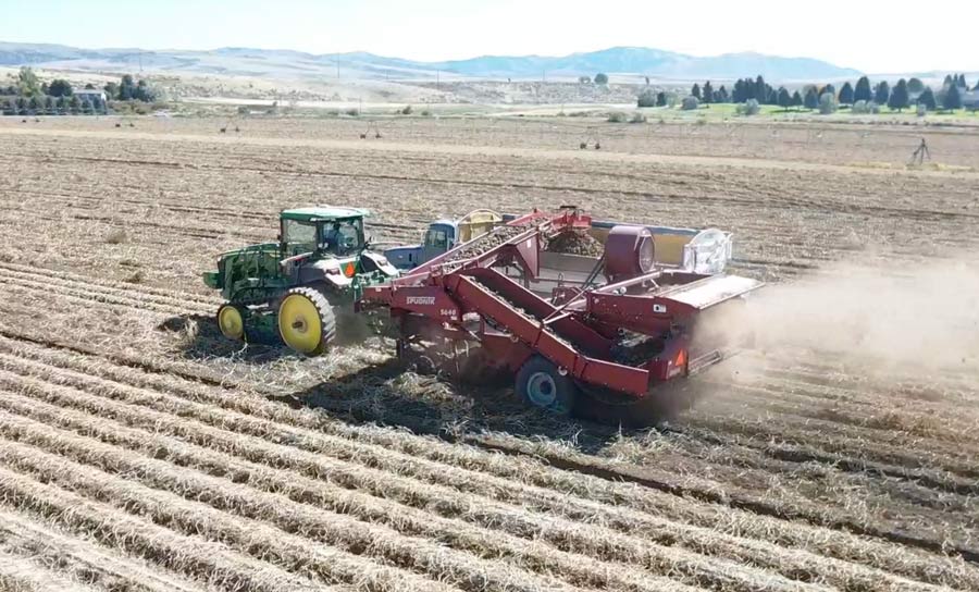 File photo of potato harvest in eastern Idaho from 2022