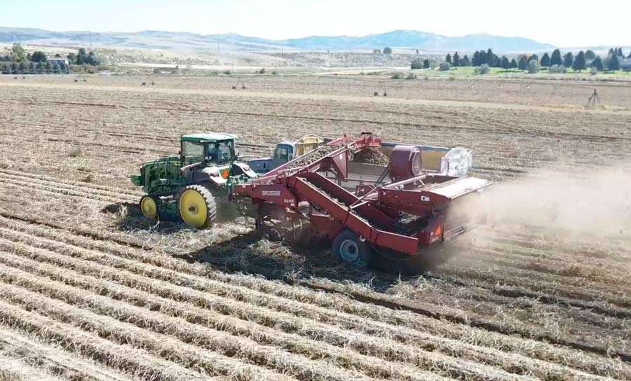 File photo of potato harvest in eastern Idaho from 2022