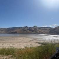 What is cyanobacteria? We asked the experts about the toxin that can invade your favorite lake