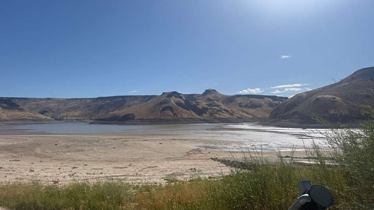 Ririe Reservoir in September 2026. If you’ve ever decided against swimming in a lake that looked a little green, here’s why you made the right decision.