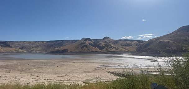 What is cyanobacteria? We asked the experts about the toxin that can invade your favorite lake