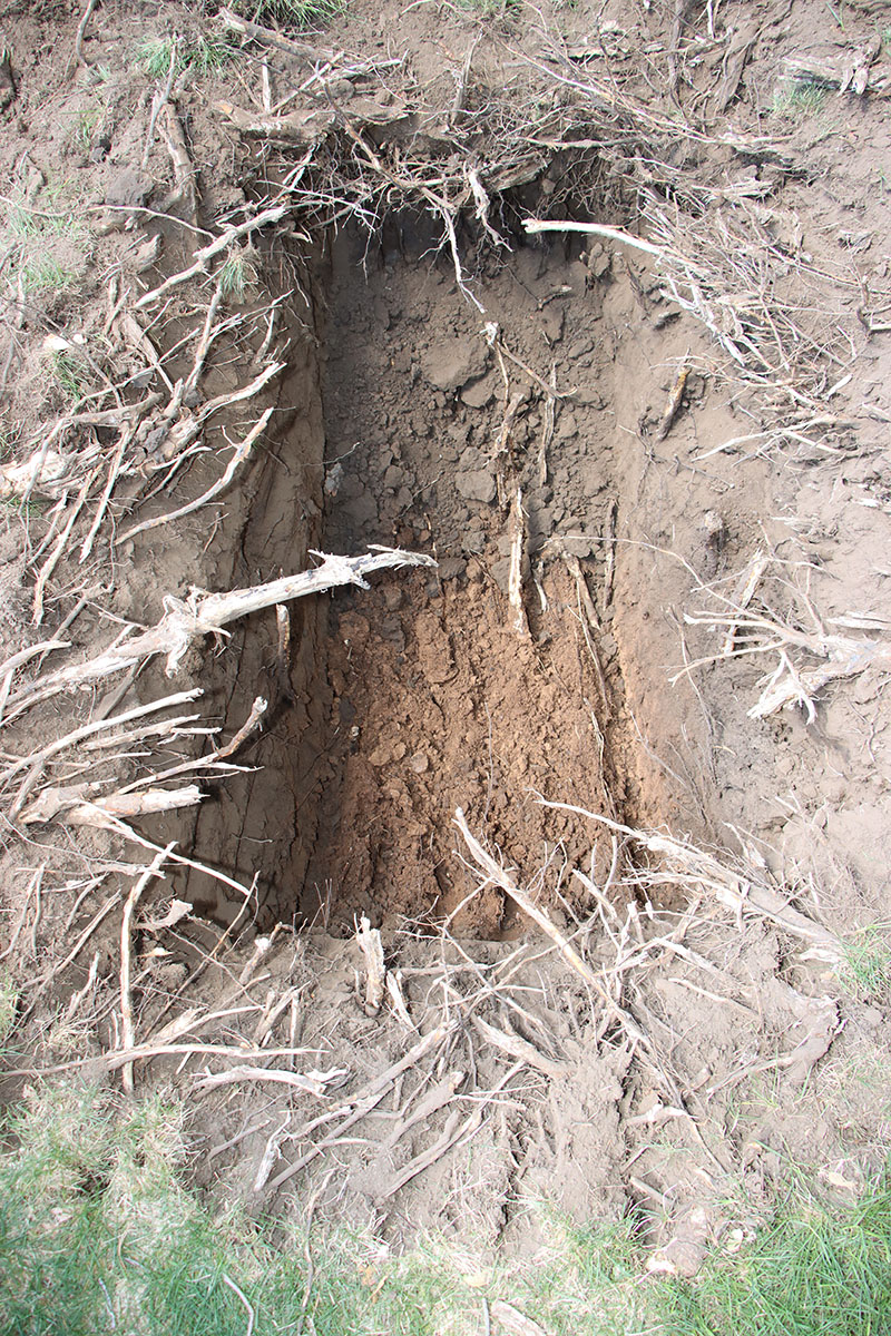 Davis County Sheriff's Office detectives excavated the backyard of a home on Gilman Drive in Layton on May 8, 2025. Detectives believed the remains of Nancy Perry Baird might be located on the property. No human remains were discovered as a result of the excavation.
