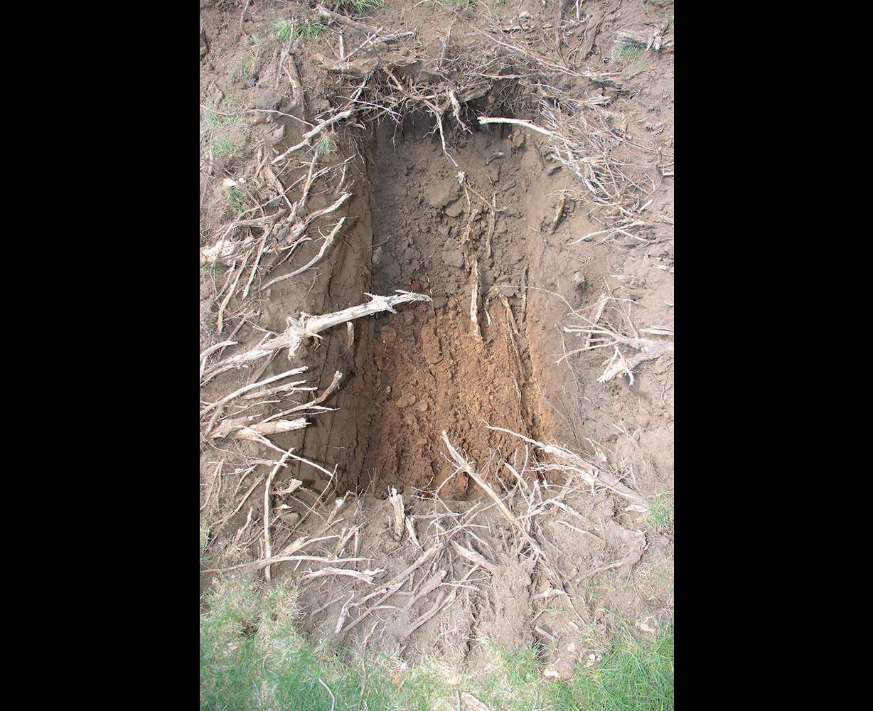 Davis County Sheriff's Office detectives excavated the backyard of a home on Gilman Drive in Layton on May 8, 2025. Detectives believed the remains of Nancy Perry Baird might be located on the property. No human remains were discovered as a result of the excavation.
