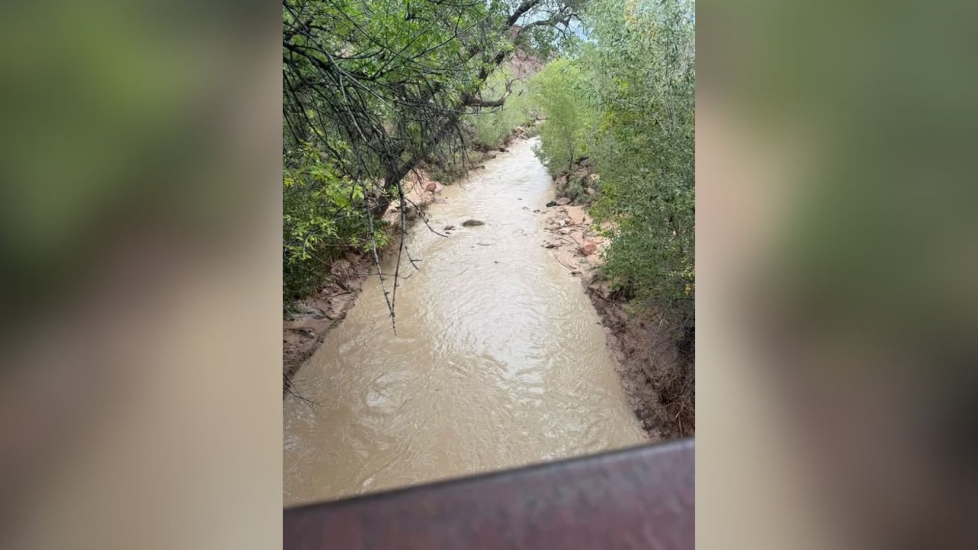 'Major' rockfall closes section of Zion National Park