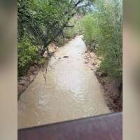 'Major' rockfall closes section of Zion National Park
