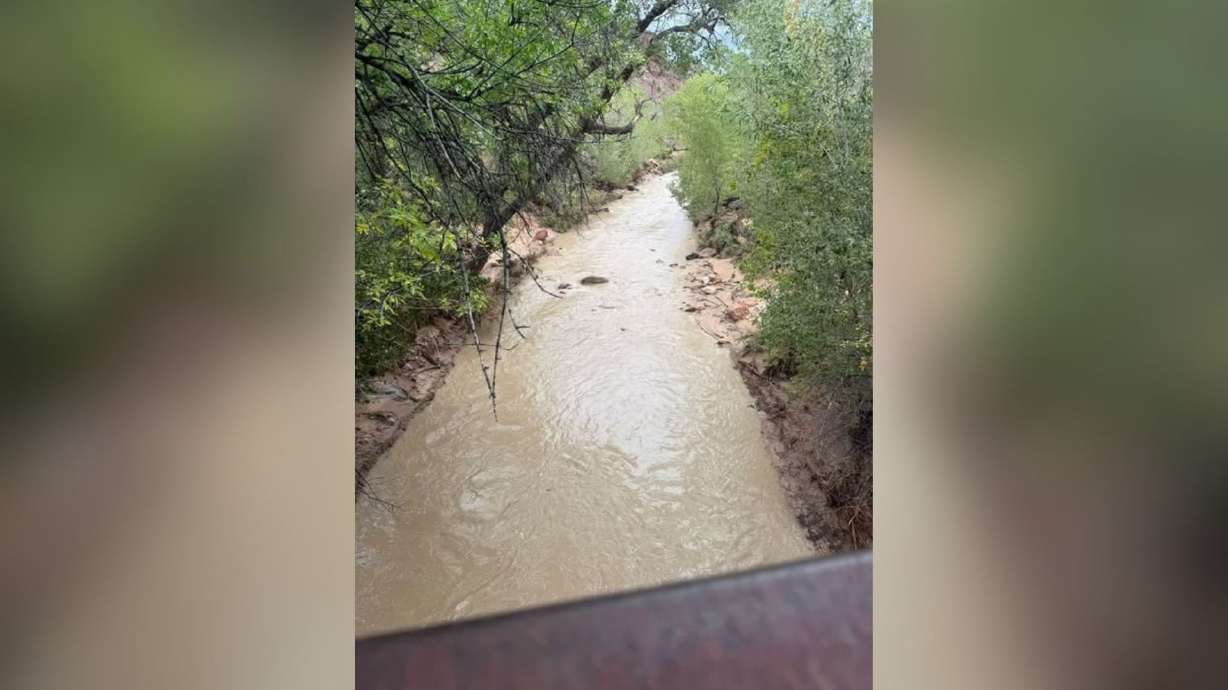 A section of Zion National Park was closed Wednesday afternoon due to a "major" rockfall, according to park officials.