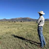 New Airbnb program gives Utah farmers chance to diversify income