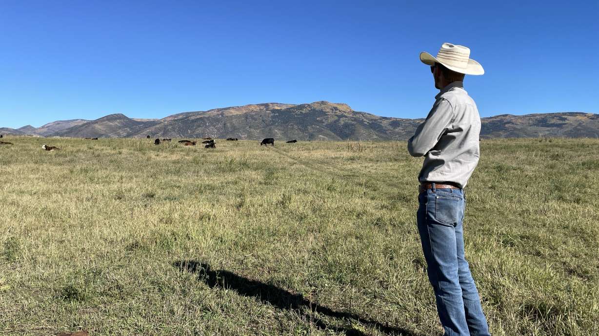 Rancher Mitch Dumke said his bulls are an attraction at his Kamas Valley Airbnb. A new Airbnb program is offering up to $10,000 to Utah farmers and ranchers looking to start or expand farm stays, creating another source of income during challenging economic conditions.