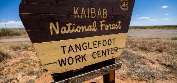 A trail near Moab could help shape the future of accessible public lands