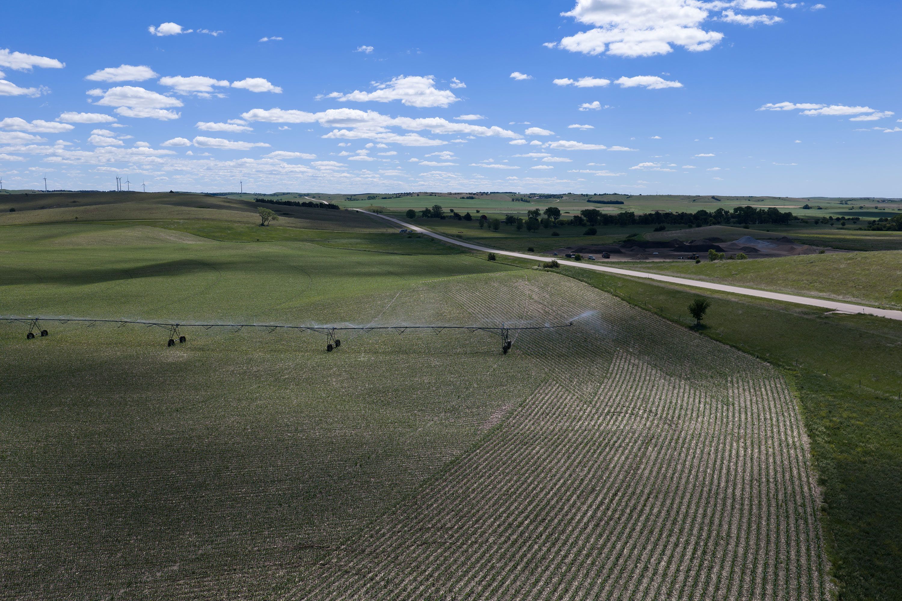 "Monoculture" has roots in agriculture, referring to the practice of single-crop farming.