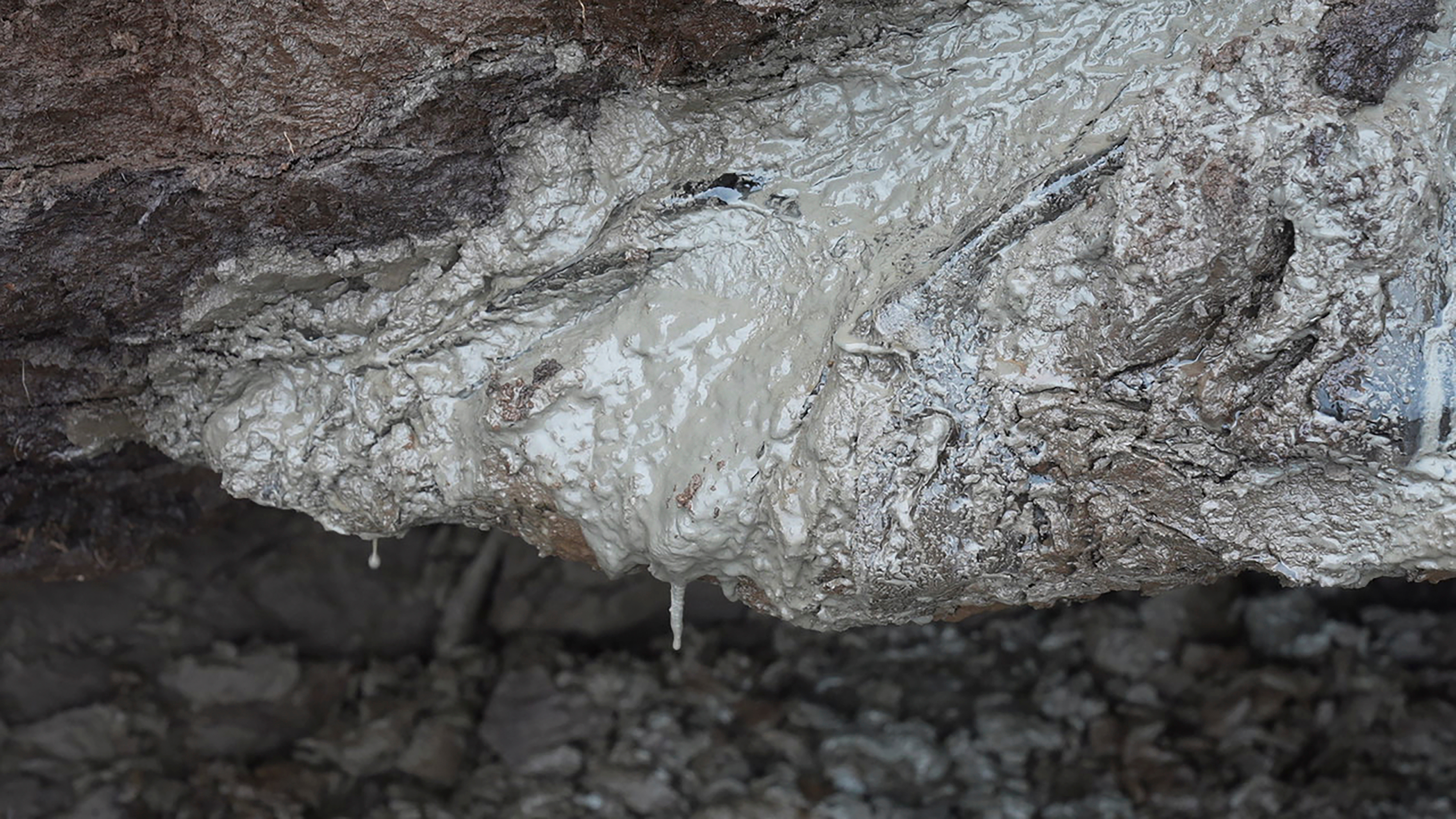 Heat-trapping gas once frozen in Arctic ground is slowly leaking and warming the planet