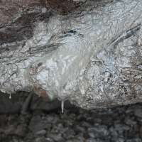 Heat-trapping gas once frozen in Arctic ground is slowly leaking and warming the planet