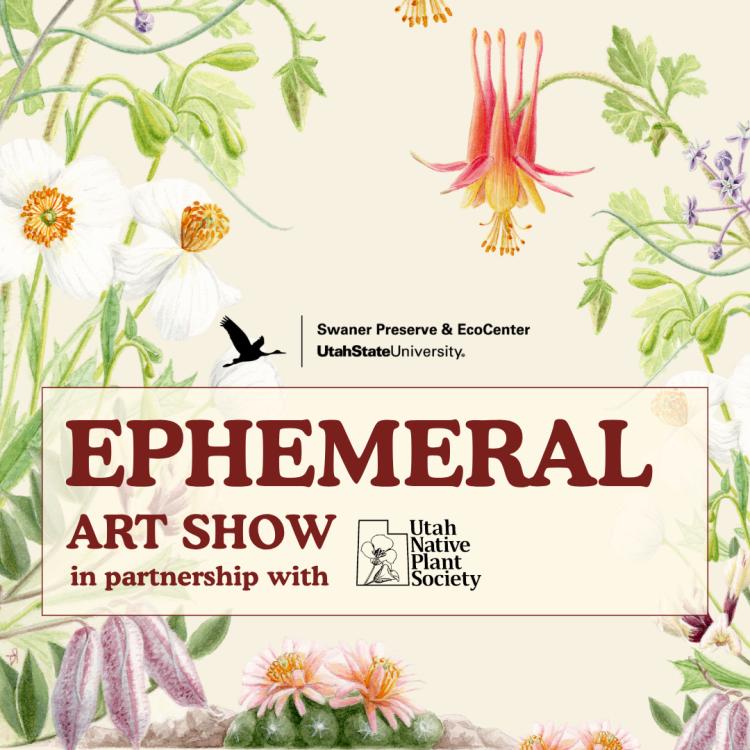 Ephemeral: Art Show featuring Utah's Native Plants