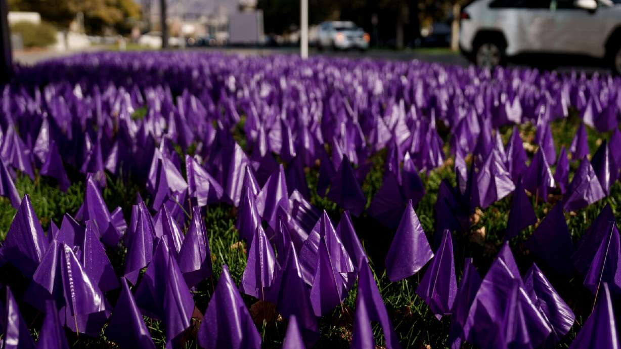 A display of purple flags raises awareness for domestic violence outside the Salt Lake County District Attorney’s Office in Salt Lake City on Oct. 23, 2025.
