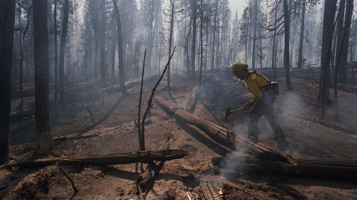 Kim Desiato, a firefighter from Tucson, Arizona, stops to look for hot spots in the aftermath of the Lewis Lake Fire in Yellowstone National Park in August 1988. The fire forced the closure of the south entrance to the park.