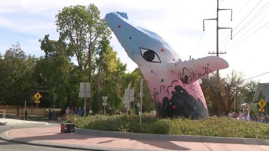 Dozens of people attend 'Whale Fest' to celebrate new whale design