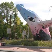 Dozens of people attend 'Whale Fest' to celebrate new whale design