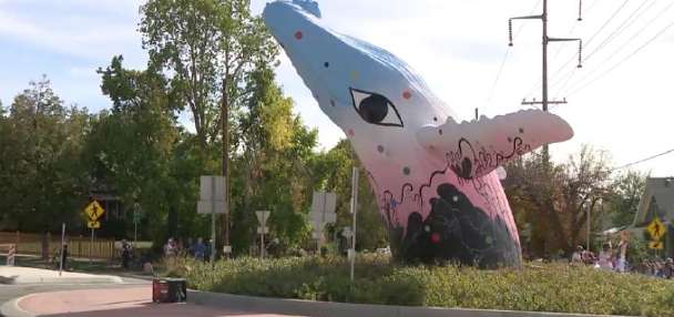 Dozens of people attend 'Whale Fest' to celebrate new whale design