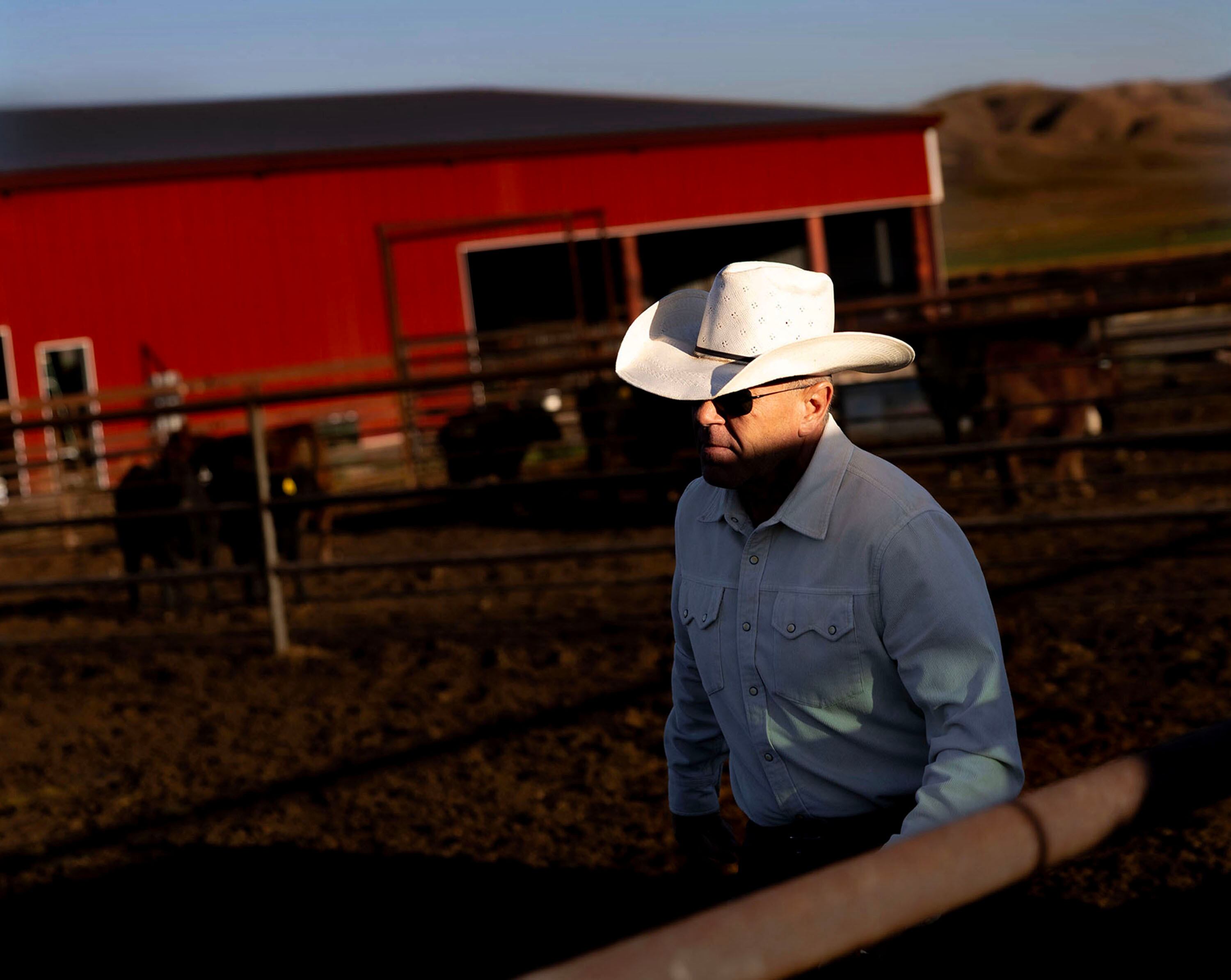 Where's the beef? This rancher hopes it stays in Utah 