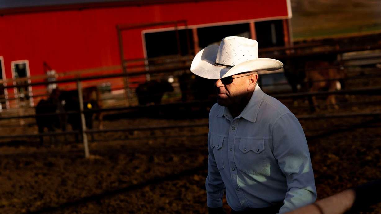 Korey Wright, owner of the Bar-W Beef Cow and Calf Operation, is pictured in Nephi on Sept. 23. Wright is a Utah rancher with a rather ambitious goal: He'd like Utah cows to be eaten by Utah people.