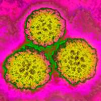 About 1 in 8 cancer cases worldwide are tied to these infections — most of them preventable
