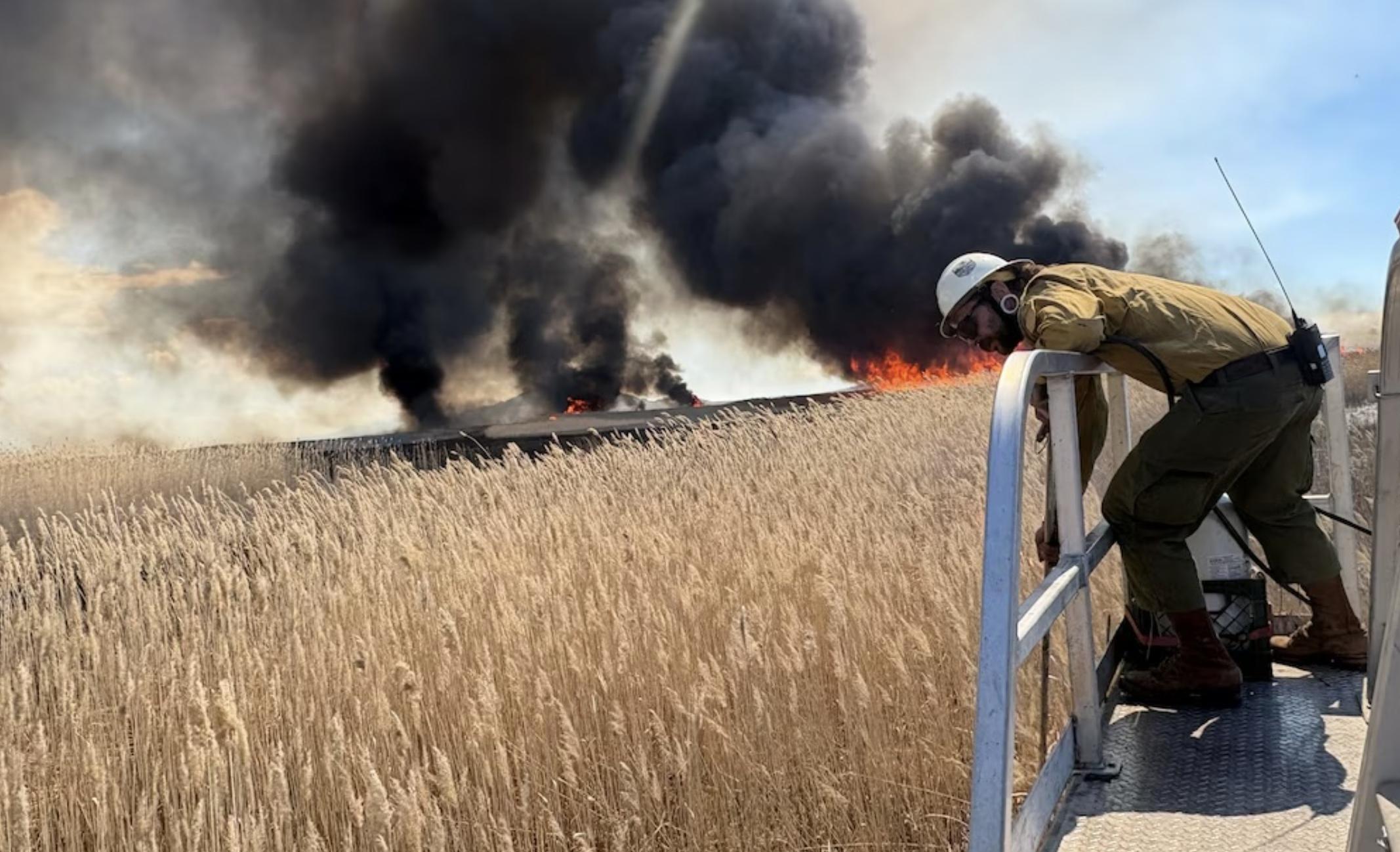 Utah's strategy to fight invasive reeds at the Great Salt Lake? Play the long game and look upstream