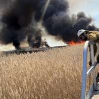 Utah's strategy to fight invasive reeds at the Great Salt Lake? Play the long game and look upstream