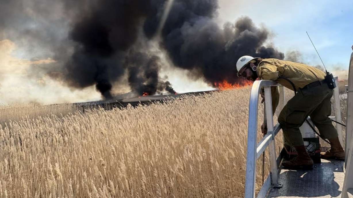 Crew members work a controlled fire to get rid of invasive phragmites around the Great Salt Lake.
