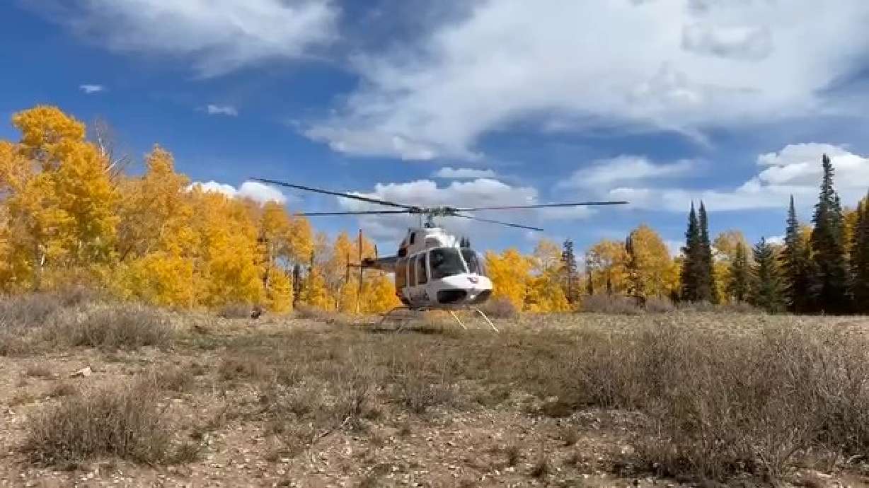 A man was airlifted to the hospital after an "accidental shooting" occurred while he was hunting on Saturday.
