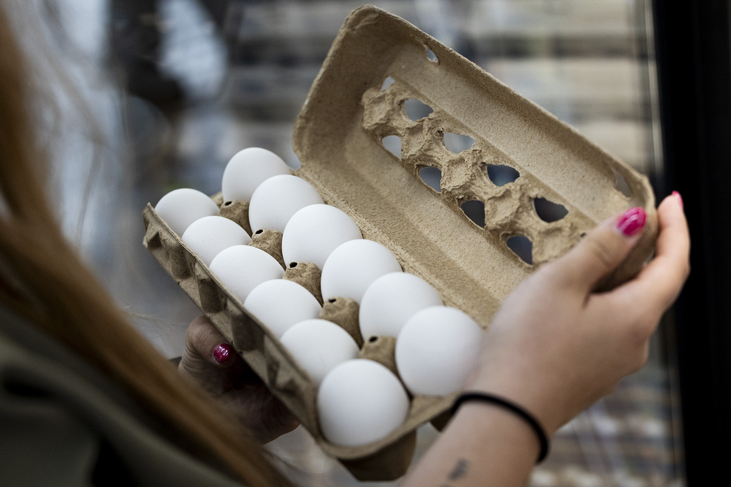 Utah Food Bank receives first shipment of 1.5 million eggs secured through multistate settlement