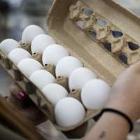 Utah Food Bank receives first shipment of 1.5 million eggs secured through multistate settlement