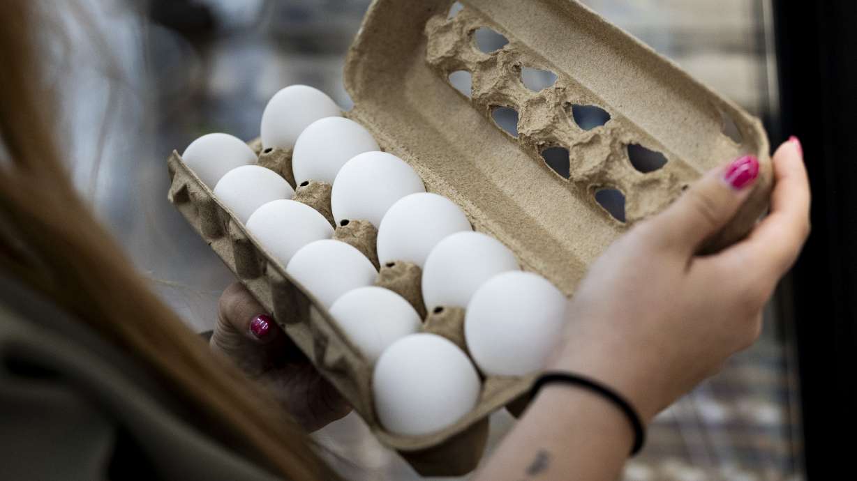 A shopper inspects a carton of eggs at Dan's Market in Salt Lake City on Oct. 8, 2025. The Utah Food Bank on Monday received its first shipment of the 1,512,000 eggs the state secured through a price-fixing settlement reached in July.