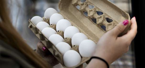 Utah Food Bank receives first shipment of 1.5 million eggs secured through multistate settlement