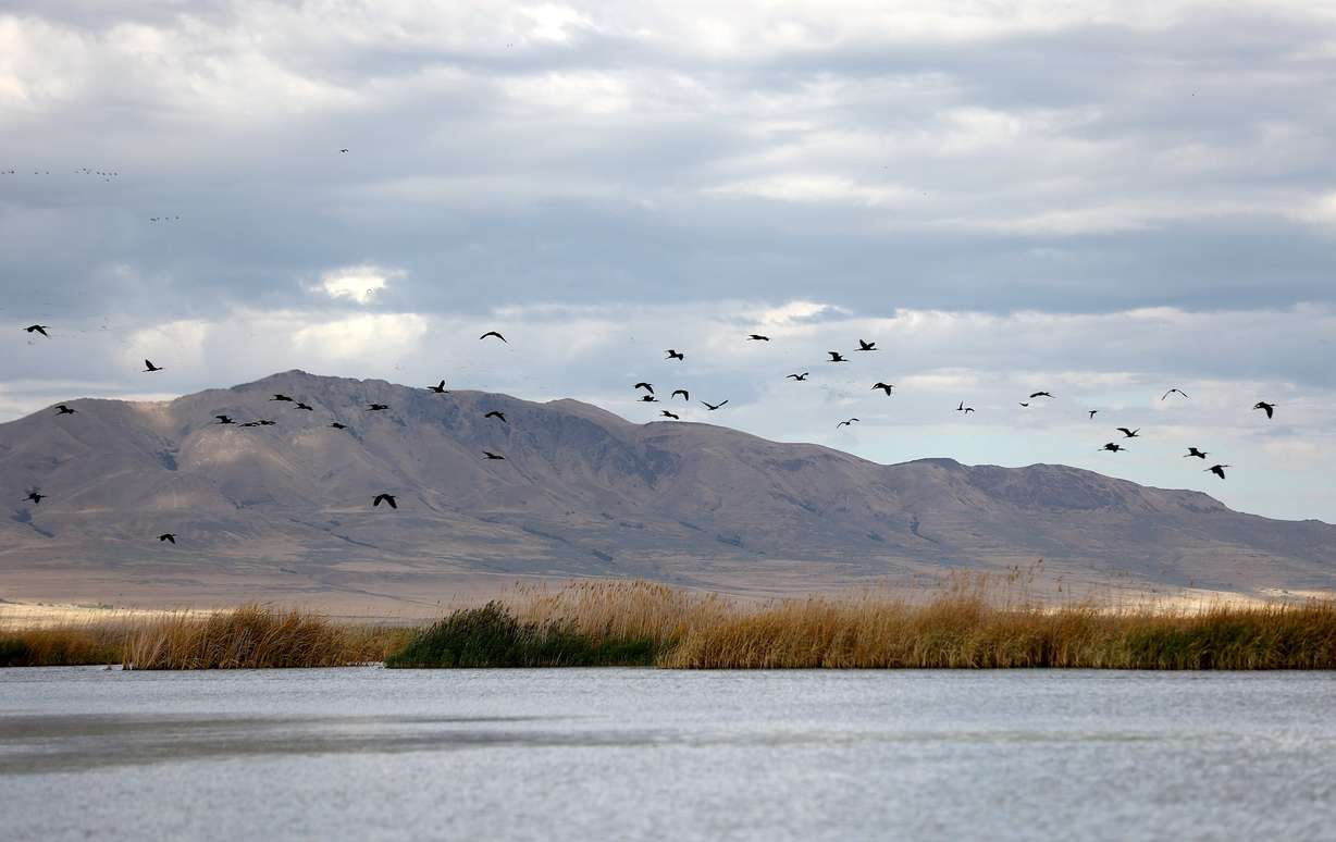 Birds fly over Farmington Bay on the eastern side of the Great Salt Lake on Sept. 17.