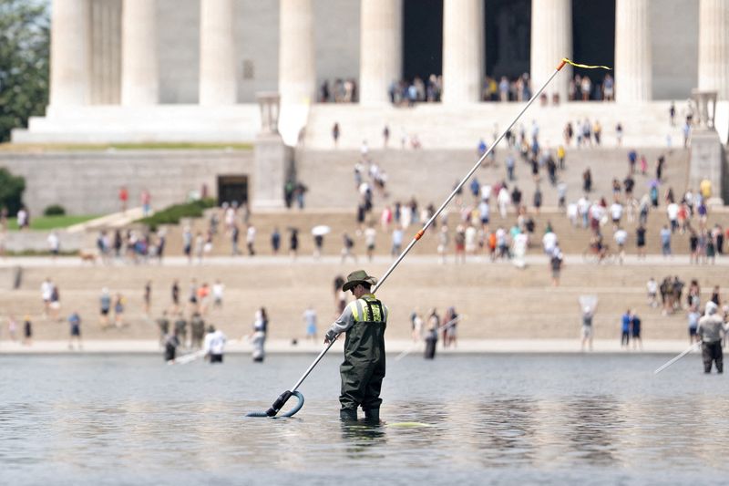 Olympian cleared in vandalism case seeks watchdog probes of Trump's Reflecting Pool project