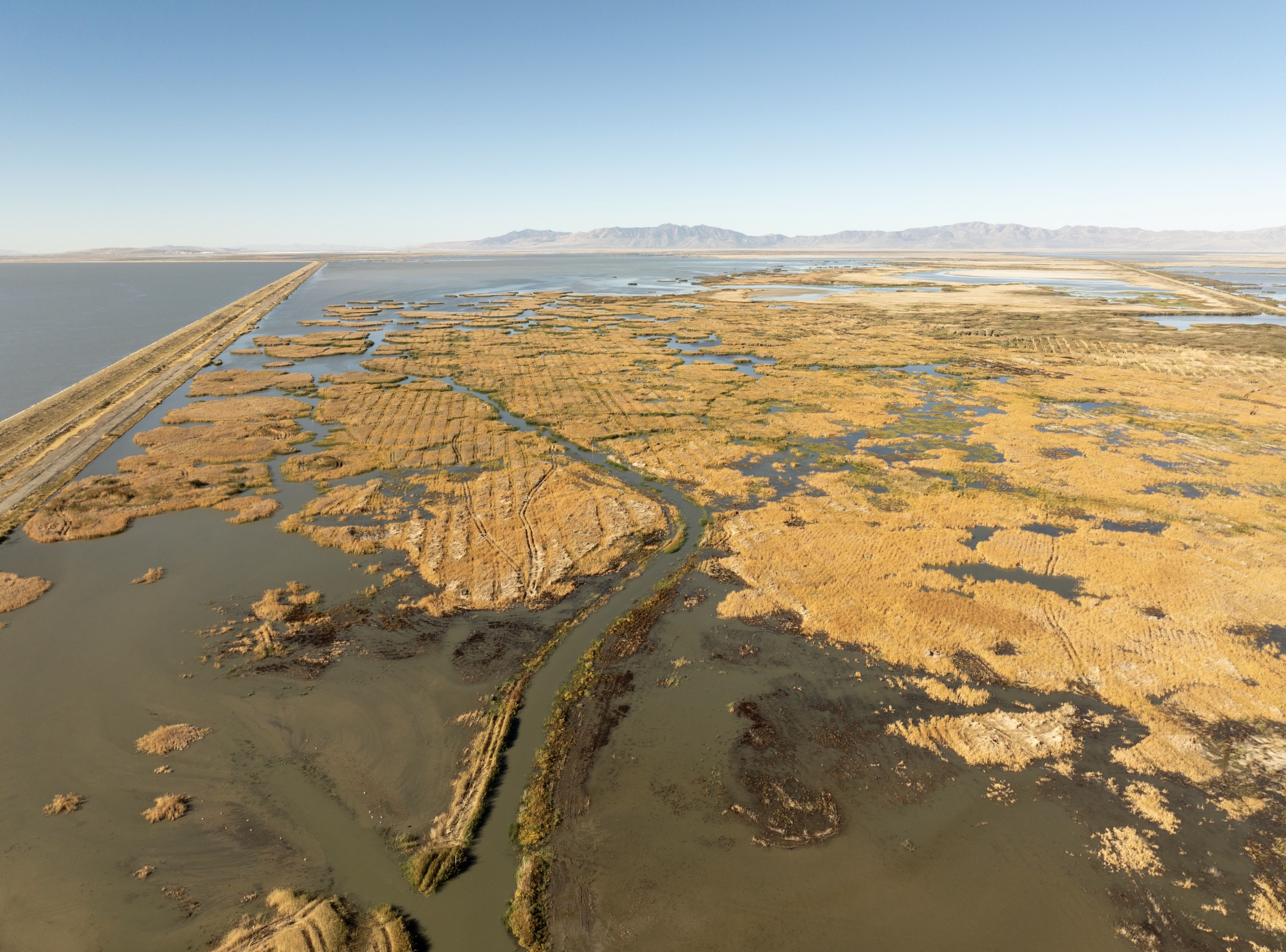 Great Salt Lake, migratory birds receive a boost from Pineview Reservoir project