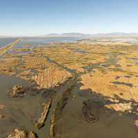 Great Salt Lake, migratory birds receive a boost from Pineview Reservoir project