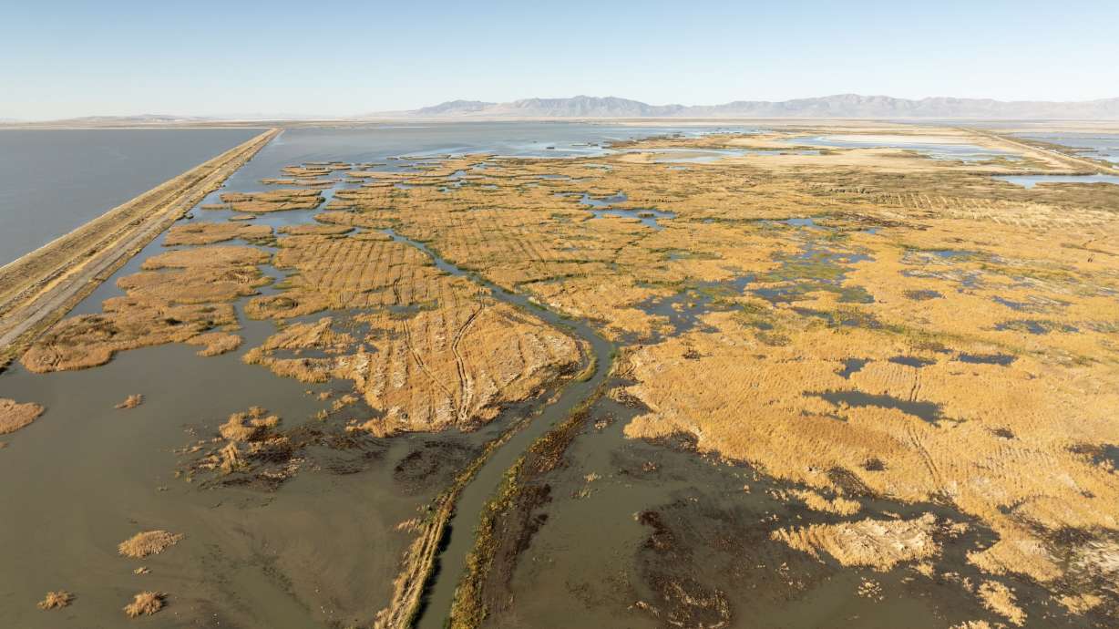 Water from Willard Bay makes it to the Willard Spur on Sept. 30, as part of a coordinated release. Most of the water headed to the lake was released from Pineview Reservoir as it was drained for a project this summer.
