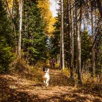 How this new 1-mile Deer Valley trail connects hikers to a much larger system