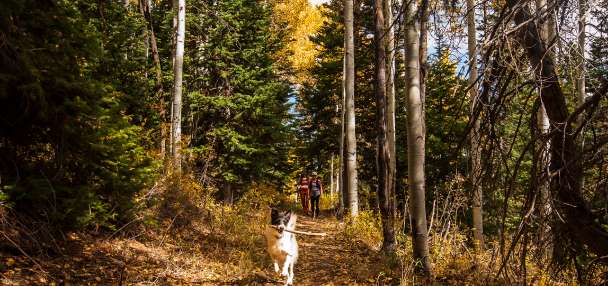 How this new 1-mile Deer Valley trail connects hikers to a much larger system
