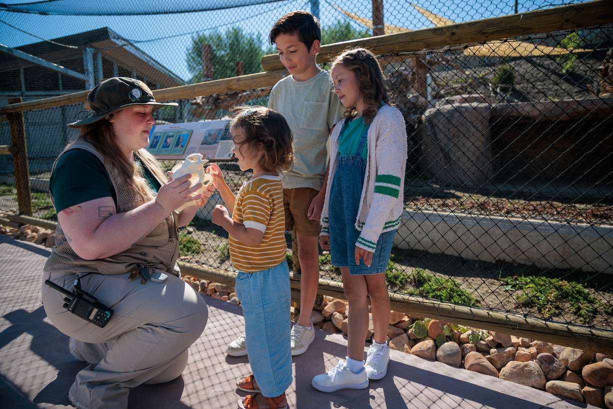 A Hogle Zoo animal educator discusses cougars with children in the Aline W. Skaggs Wild Utah exhibit at Utah's Hogle Zoo in Salt Lake City.