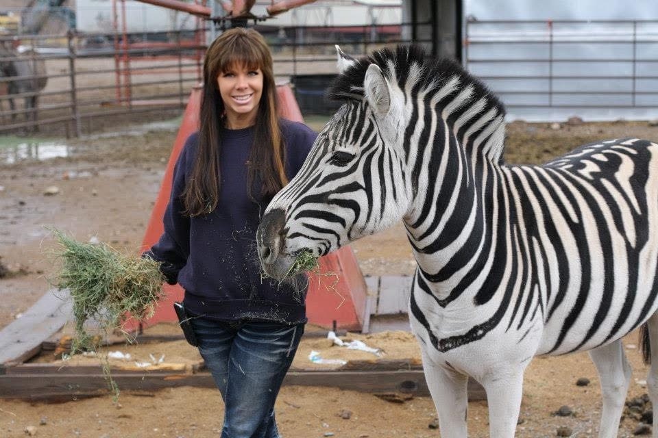 26-year-old Zebra in Utah seeks companionship after losing animal friends
