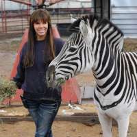 26-year-old Zebra in Utah seeks companionship after losing animal friends