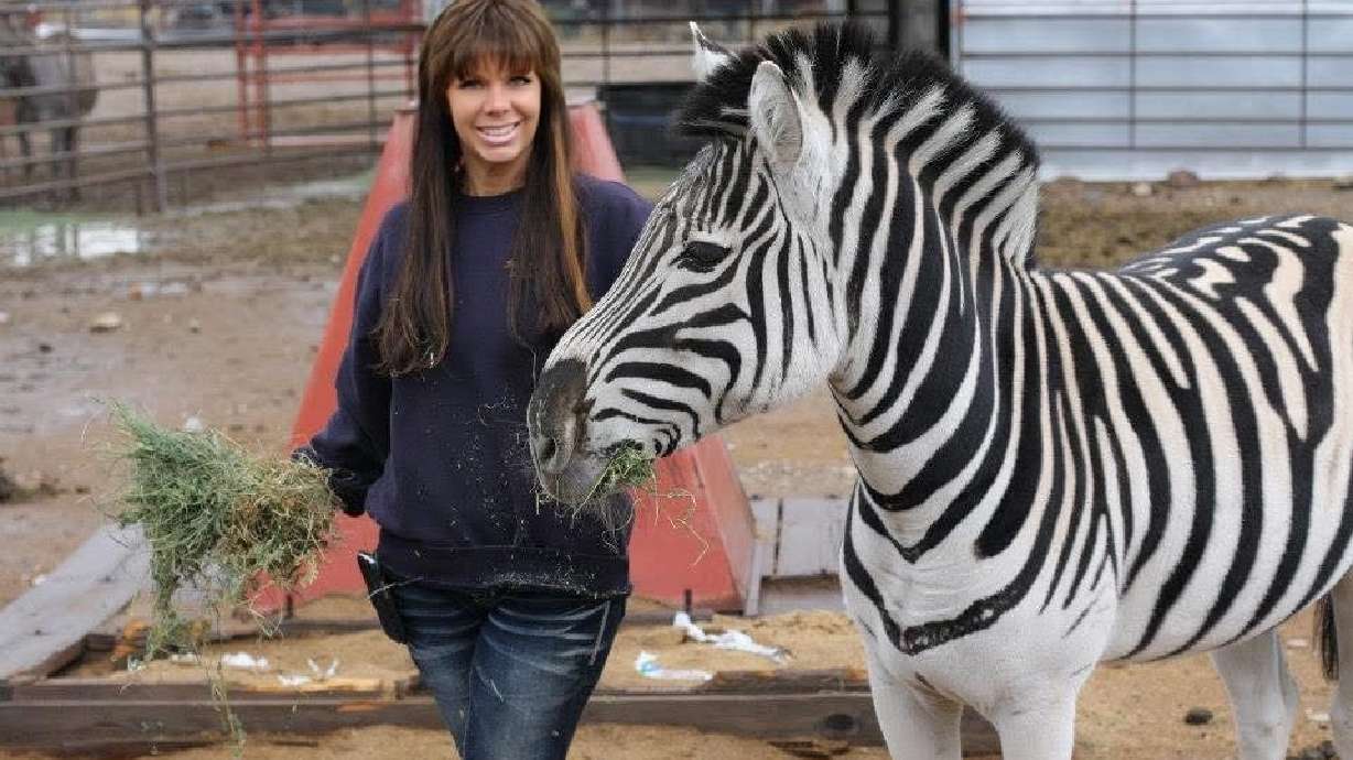 Karen Becker's 26-year-old zebra Zoolu recently lost her friends, a horse and a bull. After two decades of living with many other exotic animals, Zoolu is the last one and Becker said she would love to find her a friend (preferably a donkey) to hang out with.