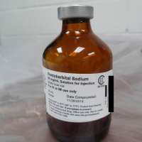 Christa Pike survived 2 doses of an execution drug. How is that possible?