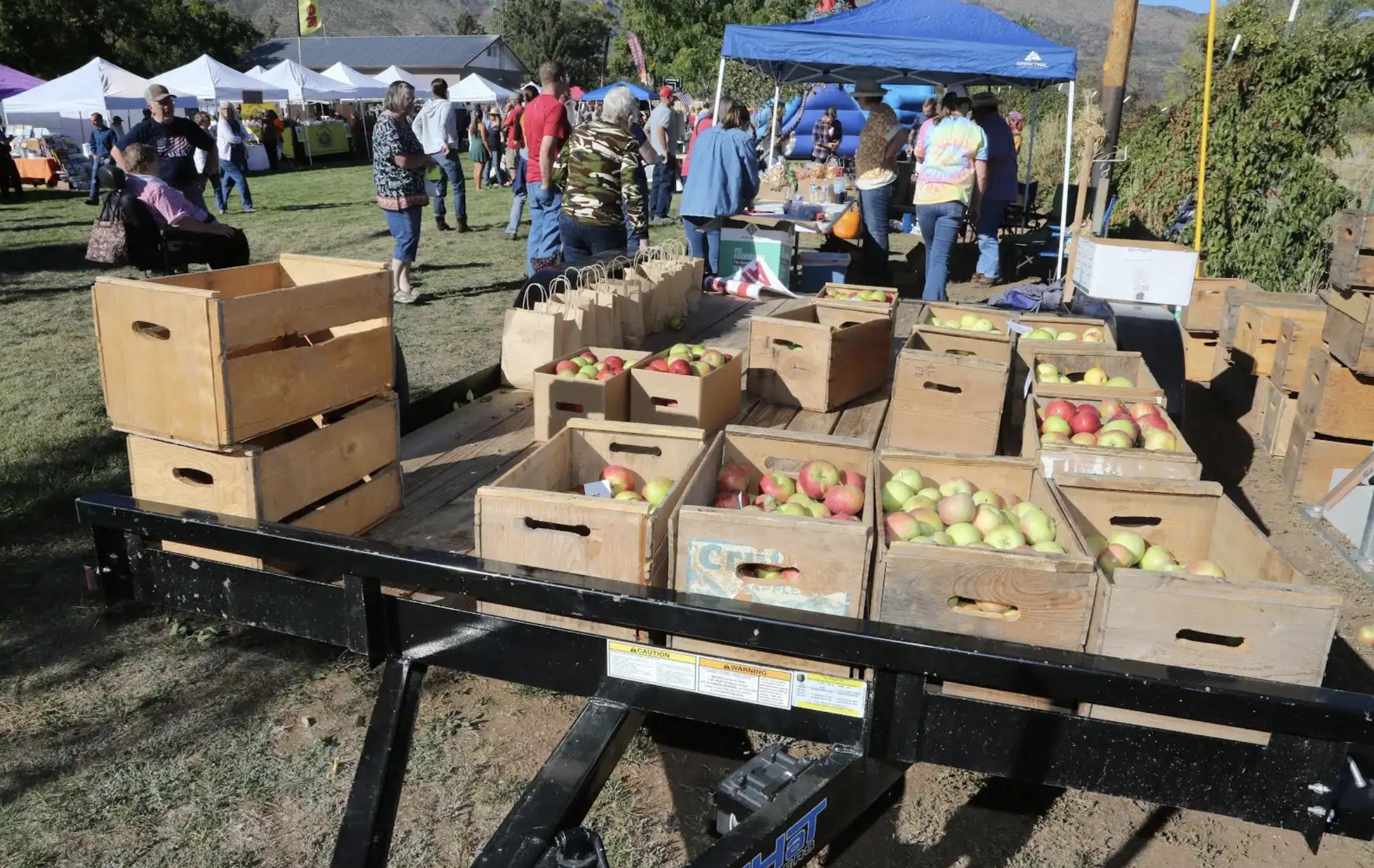 Apples for fire protection — New Harmony festival boosts funds for volunteer fire department